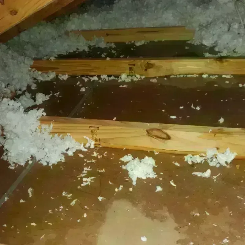 Attic Water Damage in Portsmouth, RI